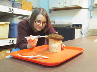 A ceramic jar with metal lid recovered from Mitchelville